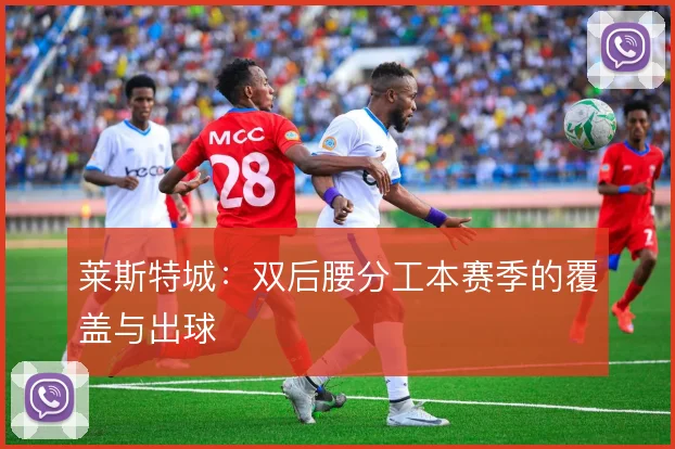 莱斯特城:双后腰分工本赛季的覆盖与出球